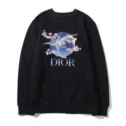 Japanese Dinosaur Sweatshirt