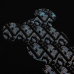 Crystals Bear T-shirt
