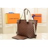 Neverfull MM Damier