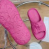 Medusa Dimension Slides