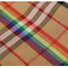 Rainbow Vintage Check Shirt
