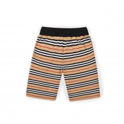 Vintage Striped Shorts