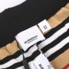 Vintage Striped Shorts