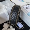 Small Moon Hobo Bag