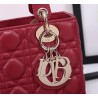 My ABCD Lady Small Bag