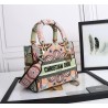 Medium Lady D-Lite Bag In Multicolor