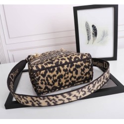 Medium Lady D-Lite Bag In Multicolor
